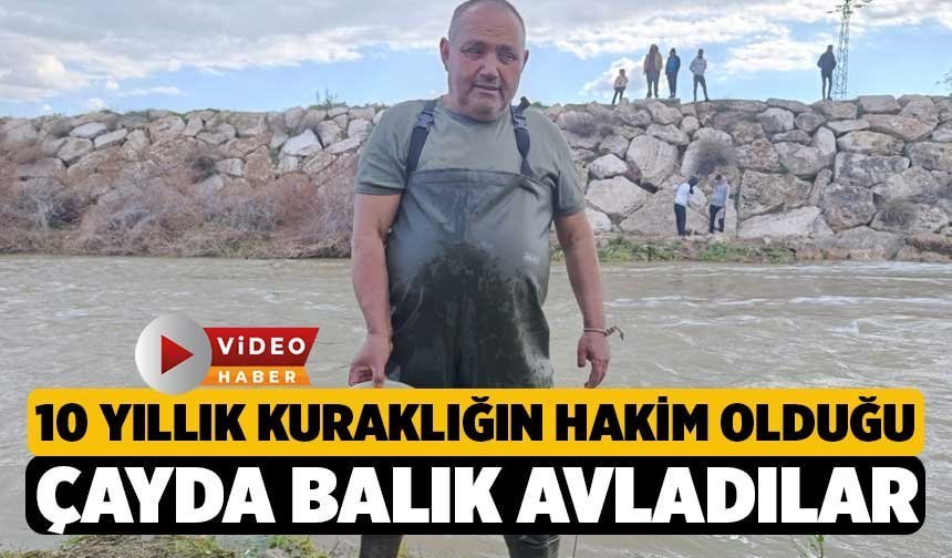 10 yıllık kuraklığın hakim olduğu çayda balık avladılar
