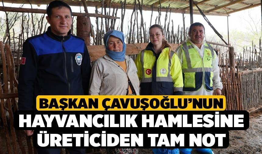 Başkan Çavuşoğlu’nun hayvancılık hamlesine üreticiden tam not
