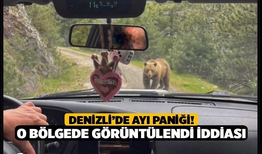 Denizli’de ayı paniği! O bölgede görüntülendi iddiası