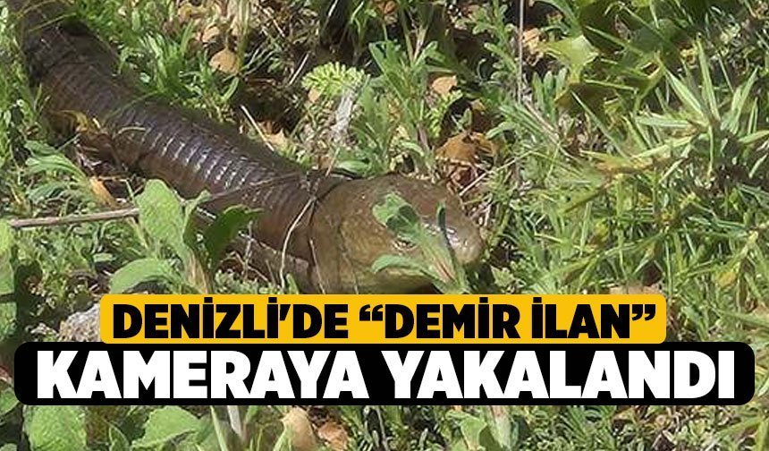 Denizli'de “Demir İlan” kameraya yakalandı