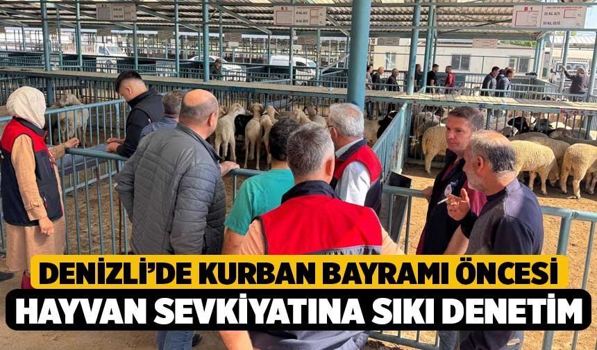 Denizli’de Kurban Bayramı öncesi hayvan sevkiyatına sıkı denetim