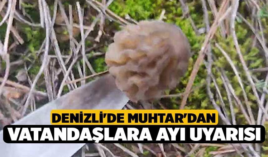 Denizli'de Muhtar'dan Vatandaşlara Ayı Uyarısı