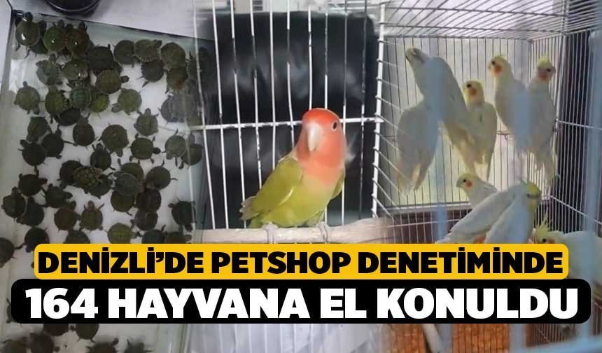 Denizli’de Petshop Denetiminde 164 Hayvana El Konuldu