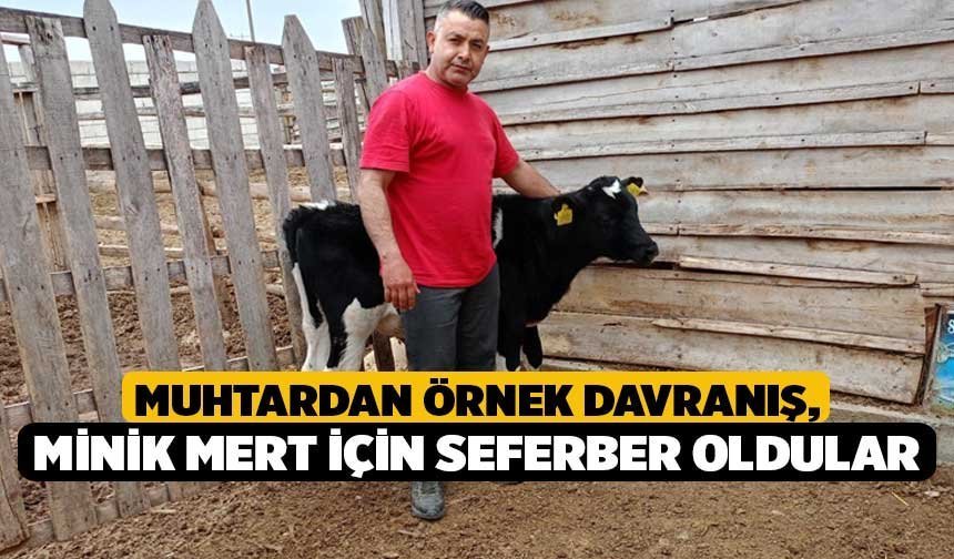 Muhtardan Örnek Davranış, Minik Mert İçin Seferber Oldular