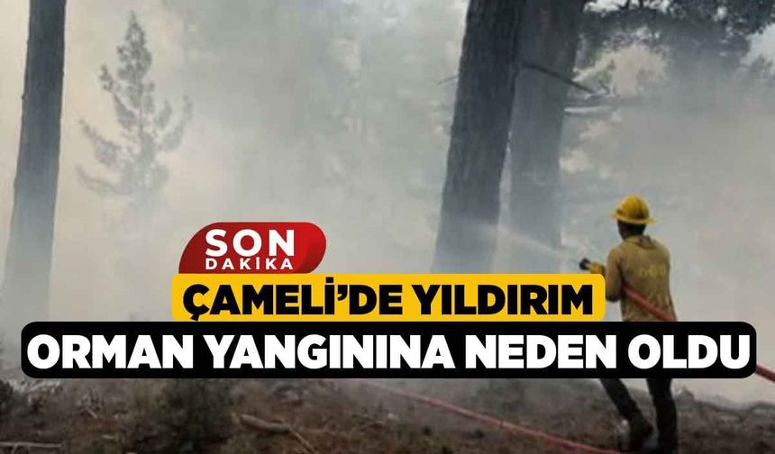 Çameli’de yıldırım orman yangınına neden oldu