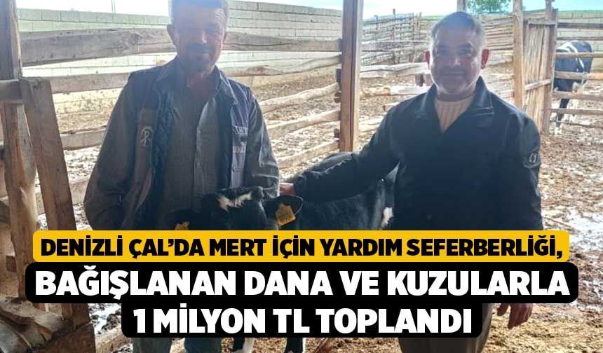 Denizli Çal’da Mert İçin Yardım Seferberliği, Bağışlanan Dana ve Kuzularla 1 Milyon TL Toplandı