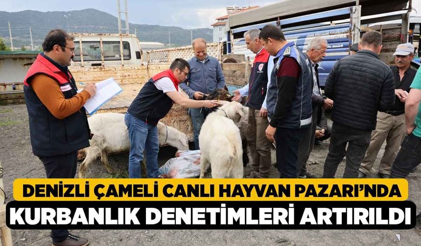 Denizli Çameli Canlı Hayvan Pazarı’nda kurbanlık denetimleri artırıldı