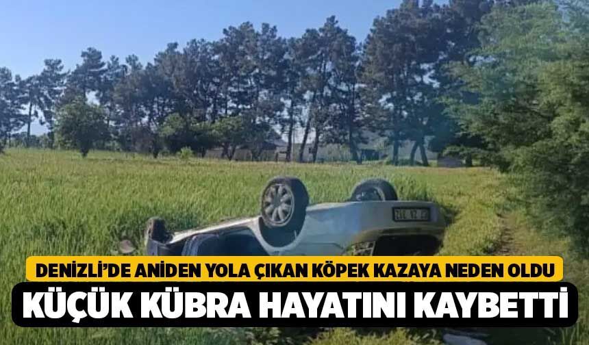 Denizli’de Aniden Yola Çıkan Köpek Kazaya Neden Oldu, Küçük Kübra Hayatını Kaybetti