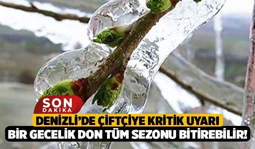 Denizli’de Çiftçiye Kritik Uyarı: Bir Gecelik Don Tüm Sezonu Bitirebilir!