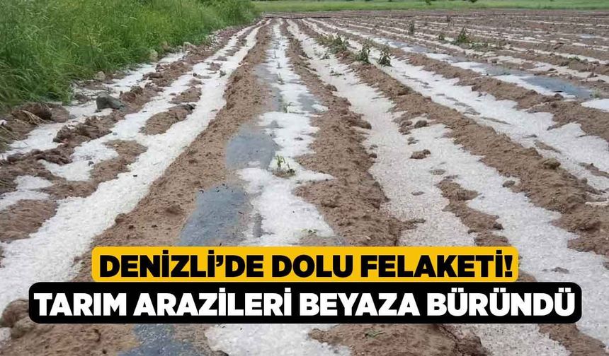 Denizli’de dolu felaketi! Tarım arazileri beyaza büründü