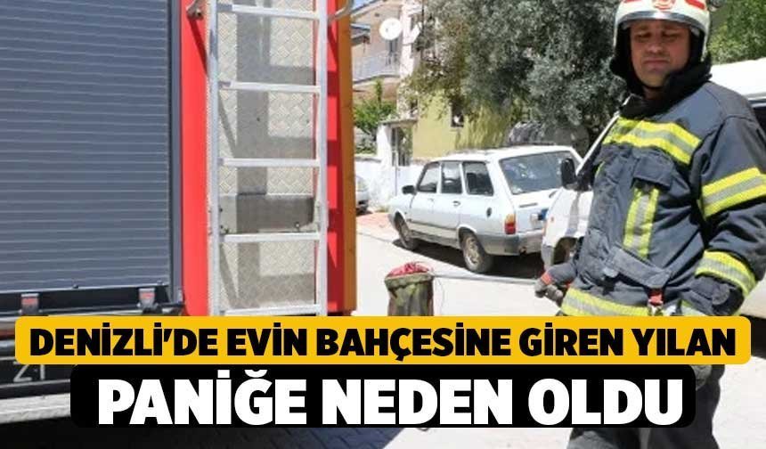 Denizli'de Evin Bahçesine Giren Yılan Paniğe Neden Oldu
