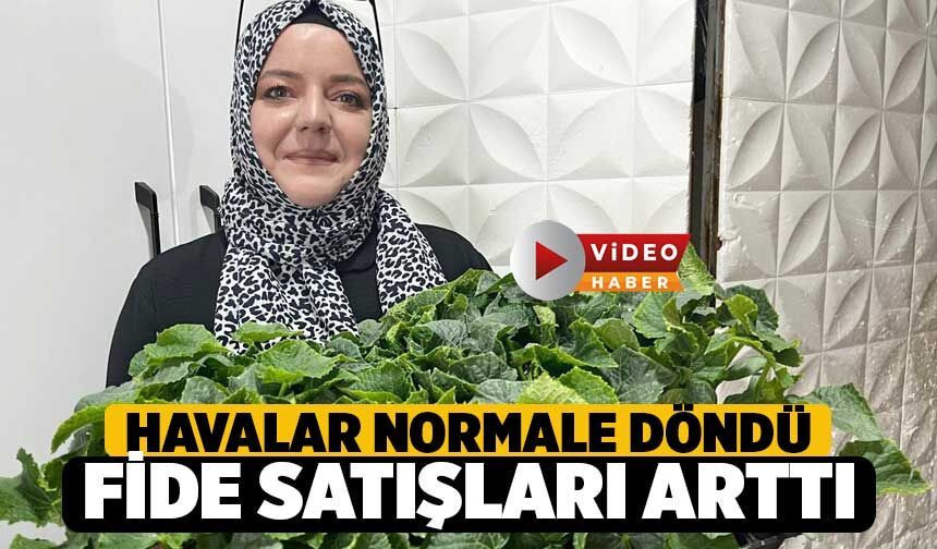 Denizli'de Fide Satışları Arttı