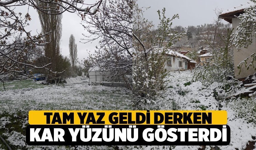 Denizli’de Kar Yağışı Etkilisini Gösterdi