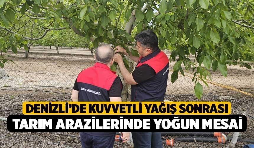 Denizli’de Kuvvetli Yağış Sonrası Tarım Arazilerinde Yoğun Mesai