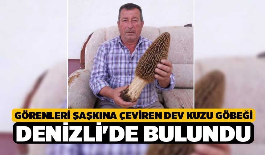 Görenleri Şaşkına Çeviren Dev Kuzu Göbeği Denizli'de Bulundu