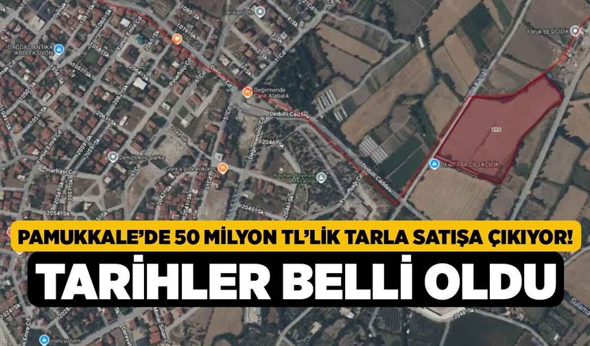 Pamukkale’de 50 Milyon TL’lik Tarla Satışa Çıkıyor! Tarihler Belli Oldu
