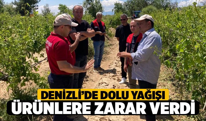 Denizli'de Dolu Yağışı Ürünlere Zarar Verdi