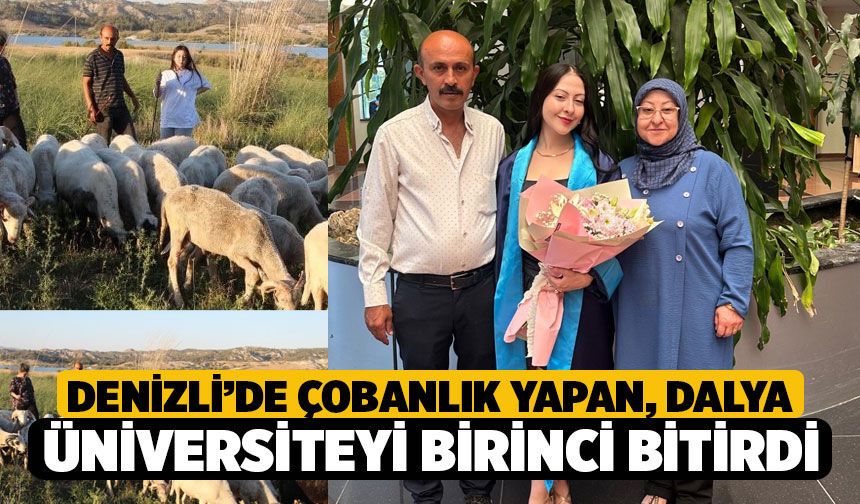Denizli Gökpınar Barajı'nda Çobanlık Yapan Dalya Toktaş Üniversiteyi Birincilikle Bitirdi