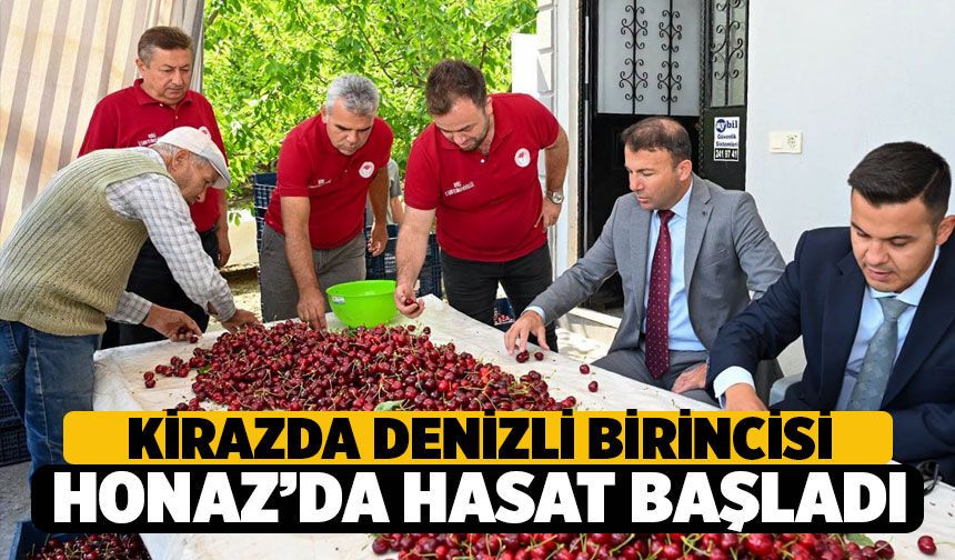 Denizli'nin Coğrafi İşaretli Gururu: Honaz'da Kiraz Hasadı Başladı!
