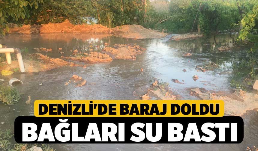 Denizli'de Baraj Doldu, Bağları Su Bastı