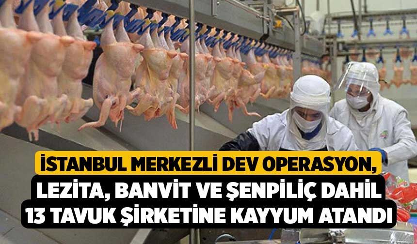 İstanbul Merkezli Dev Operasyon, Lezita, Banvit ve Şenpiliç Dahil 13 Tavuk Şirketine Kayyum Atandı
