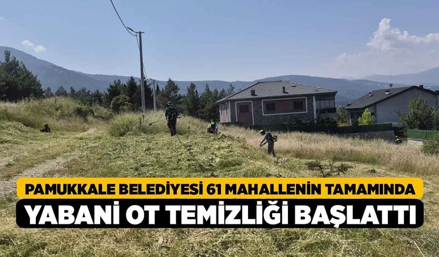 Pamukkale Belediyesi 61 Mahallenin Tamamında Yabani Ot Temizliği Başlattı