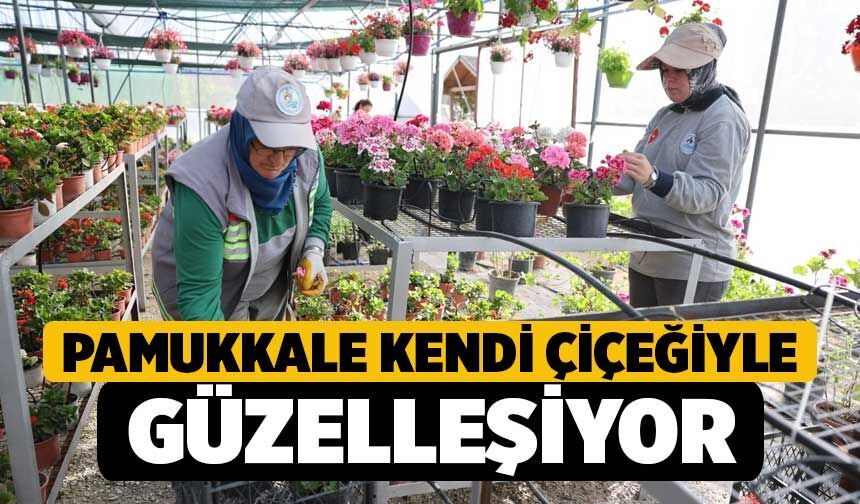 Pamukkale Kendi Çiçeğiyle Güzelleşiyor