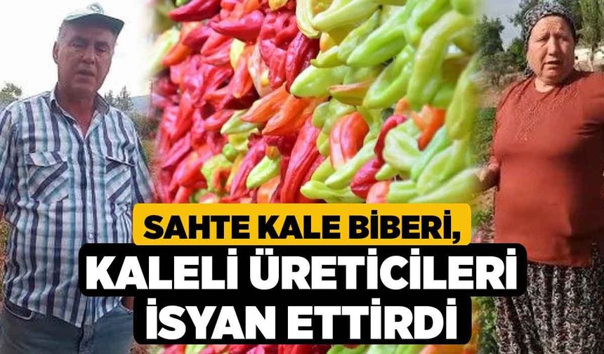 Sahte Kale Biberi, Kaleli Üreticileri İsyan Ettirdi