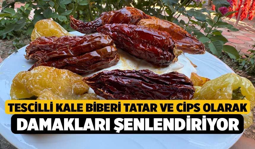 Tescilli Kale Biberi tatar ve cips olarak damakları şenlendiriyor