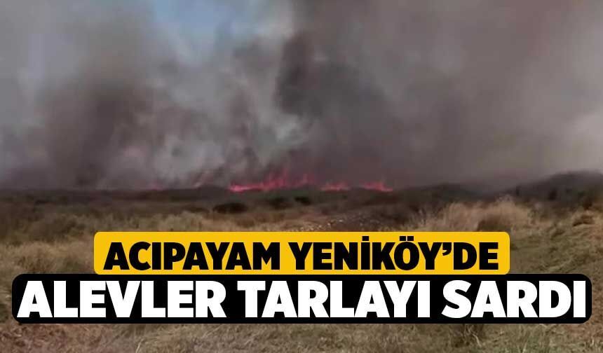 Acıpayam Yeniköy’de Alevler Tarlayı Sardı
