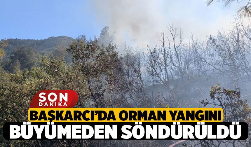 Başkarcı Dağı Orman Yangını: Orman Ve İtfaiye Ekipleri Alevleri Büyümeden Söndürdü!