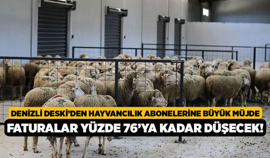 Denizli DESKİ’den Hayvancılık Abonelerine Büyük Müjde, Faturalar Yüzde 76’ya Kadar Düşecek!