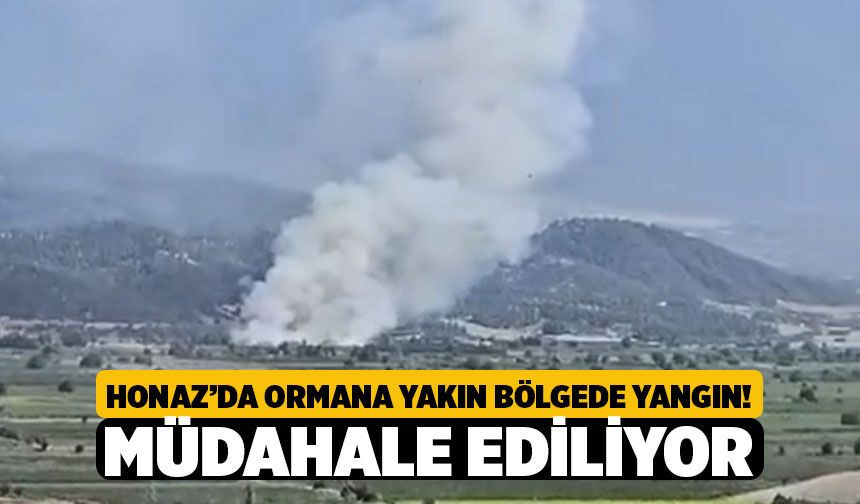 Denizli Kaklık Ve Kocabaş Arasında Arazi Yangını: Orman Ve İtfaiye Ekipleri Alarmda!