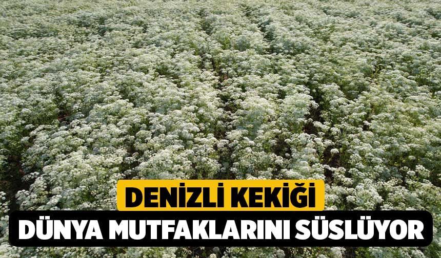 Denizli Kekiği Dünya Mutfaklarını Süslüyor