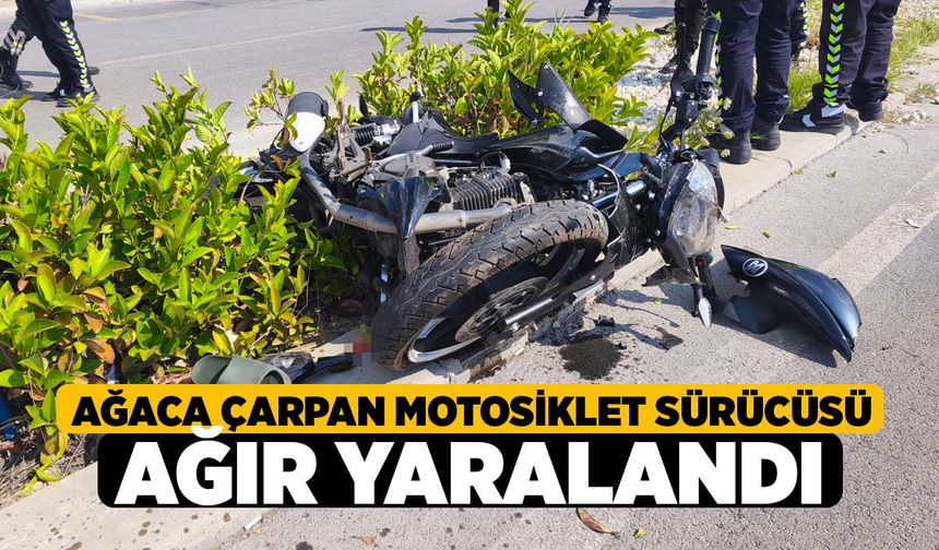 Denizli Pamukkale'de Motosiklet Refüjdeki Ağaca Çarptı: 1 Ağır Yaralı