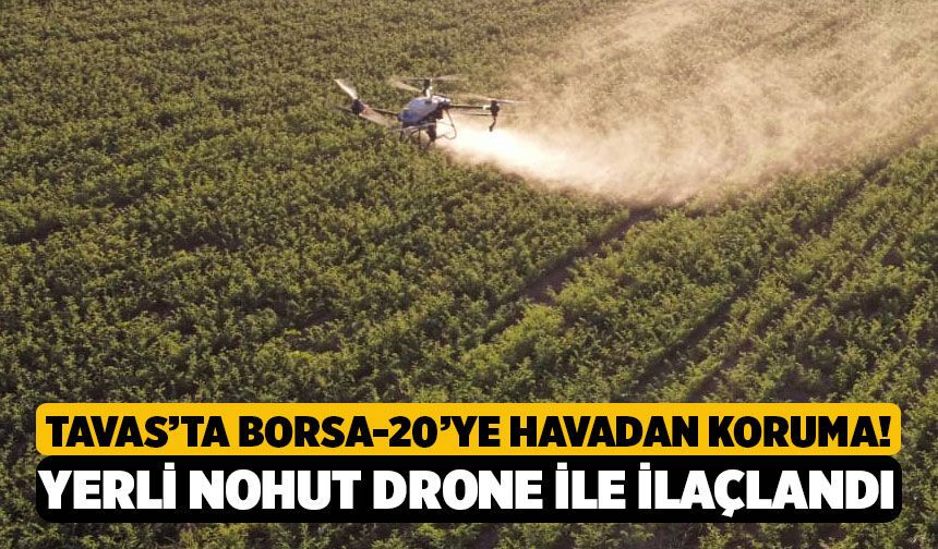 Tavas’ta Borsa-20’ye Havadan Koruma! Yerli Nohut Drone ile İlaçlandı