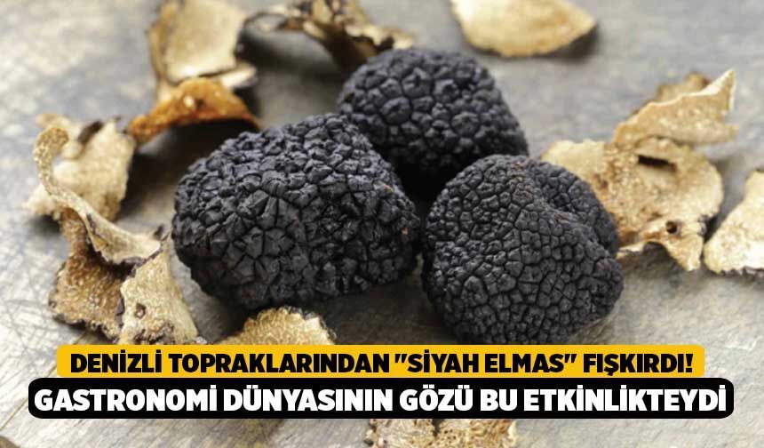 Denizli Topraklarından "Siyah Elmas" Fışkırdı! Gastronomi Dünyasının Gözü Bu Etkinlikteydi