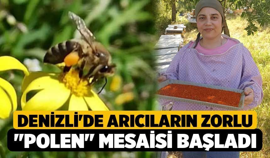 Denizli'de Arıcıların Zorlu "Polen" Mesaisi Başladı