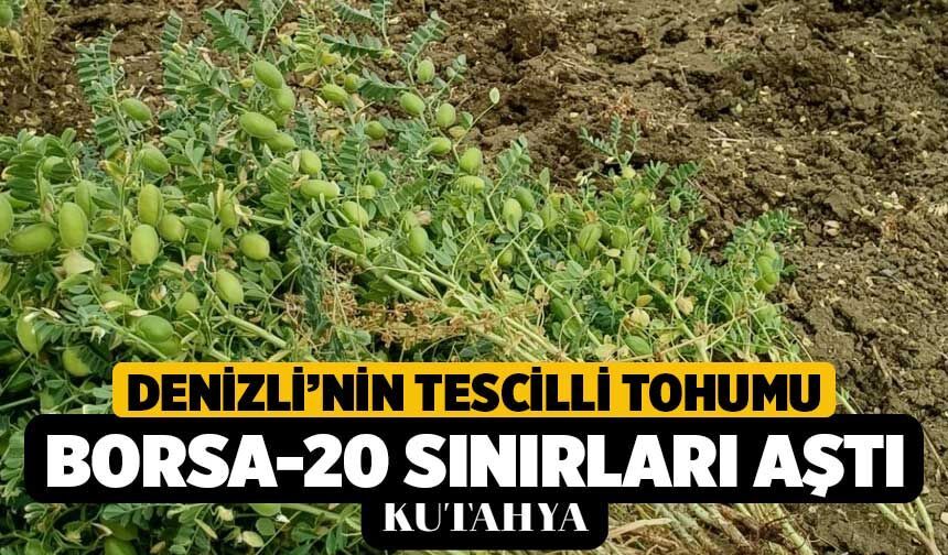 Denizli’nin Tescilli Tohumu Borsa-20 Sınırları Aştı