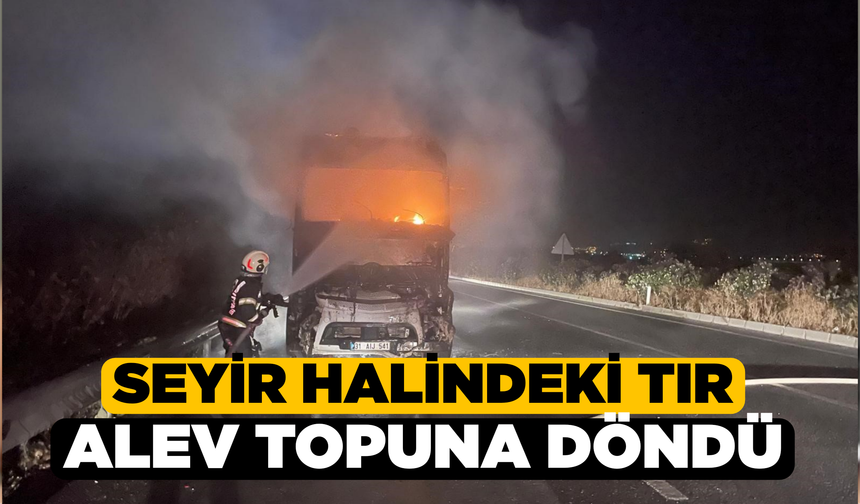 Denizli'de Seyir Halindeki Tırda Yangın