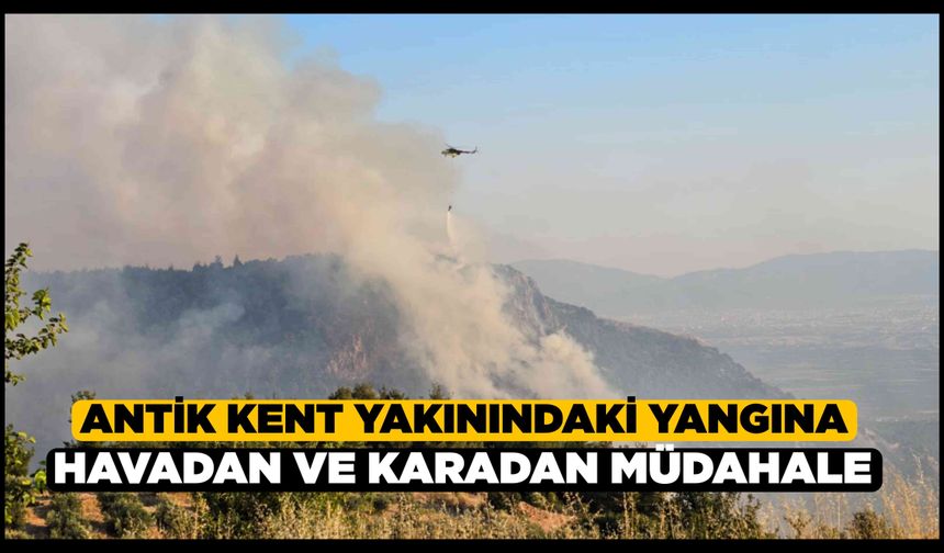 Dünyaca ünlü travertenlerin yakınındaki ormanlık alanda yangın