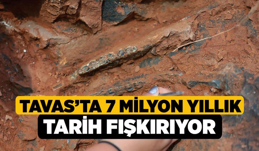 Tavas’ta 7 Milyon Yıllık Tarih Fışkırıyor