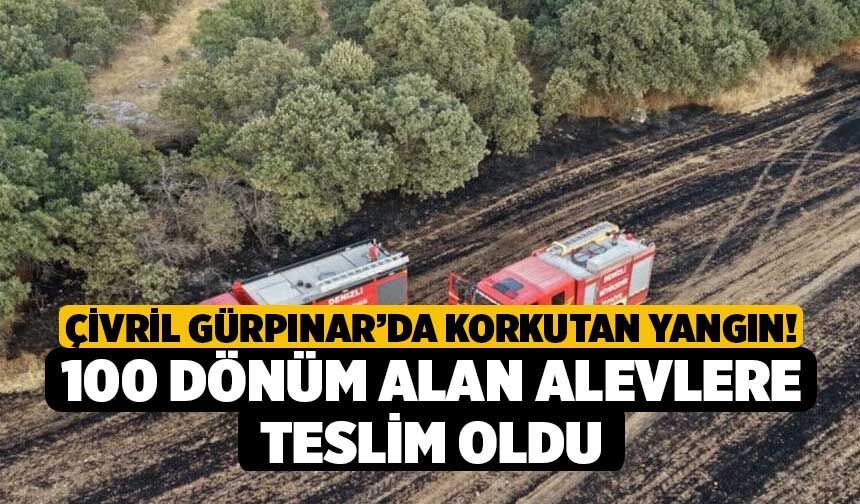 Çivril Gürpınar’da Korkutan Yangın! 100 Dönüm Alan Alevlere Teslim Oldu