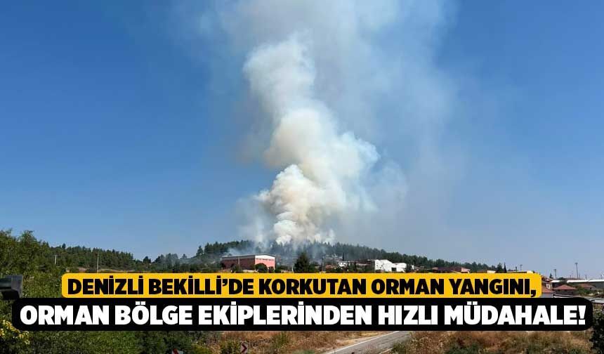 Denizli Bekilli’de Korkutan Orman Yangını, Orman Bölge Ekiplerinden Hızlı Müdahale!