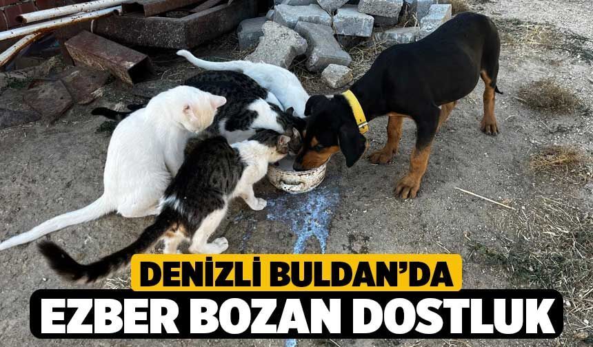 Denizli Buldan’da Ezber Bozan Dostluk