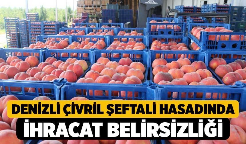 Denizli Çivril Şeftali Hasadında İhracat Belirsizliği