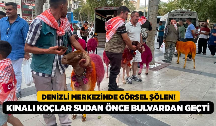 Denizli Merkezinde Görsel Şölen! Kınalı Koçlar Sudan Önce Bulvardan Geçti