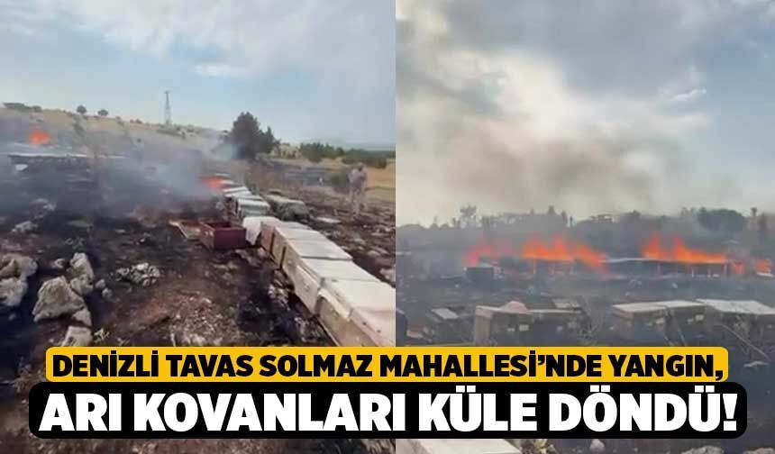 Denizli Tavas Solmaz Mahallesi’nde Yangın, Arı Kovanları Küle Döndü!