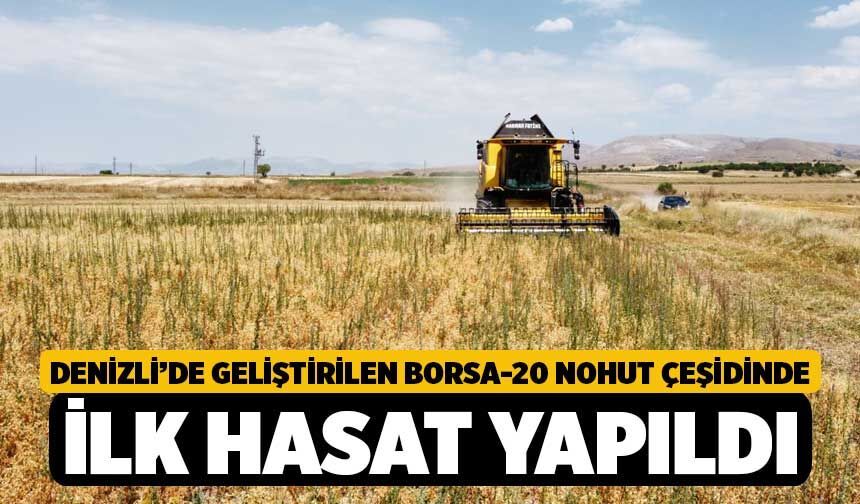 Denizli’de Geliştirilen Borsa-20 Nohut Çeşidinde İlk Hasat Yapıldı