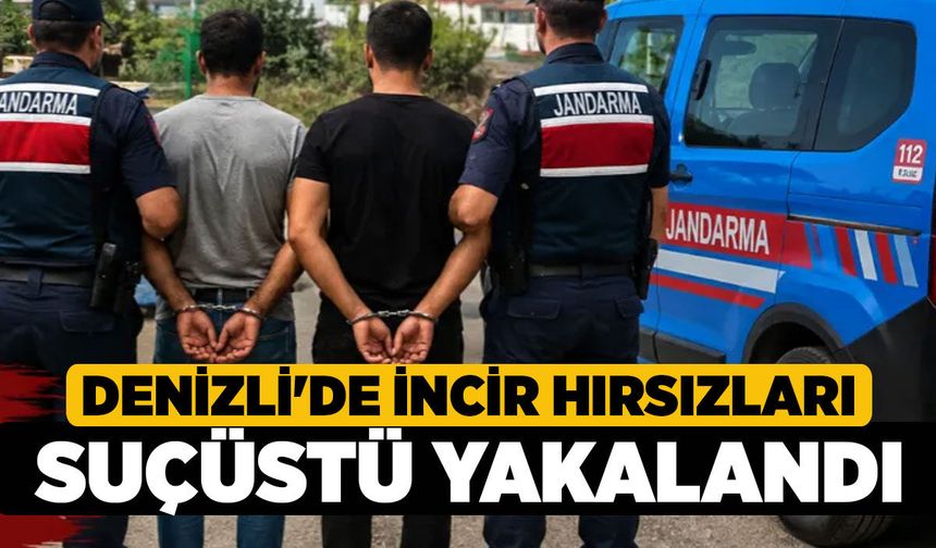 Denizli'de İncir Hırsızları Suçüstü Yakalandı